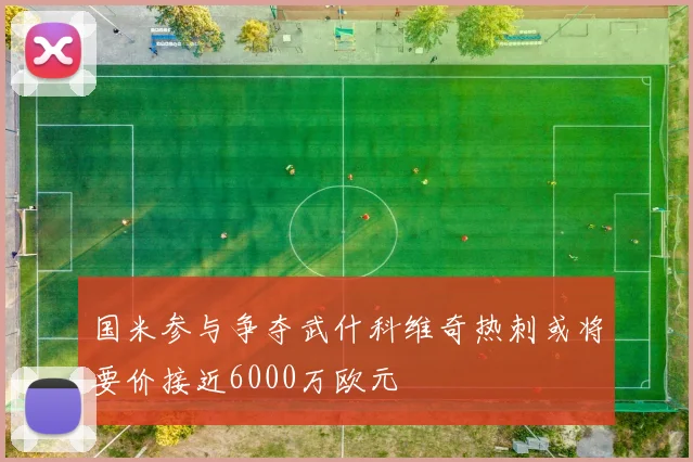 国米参与争夺武什科维奇热刺或将要价接近6000万欧元